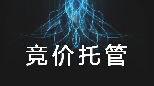 河南競價托管代運營 河南競價托管代運營